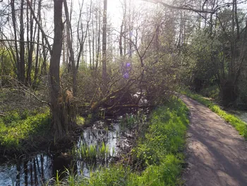 Kalkense Meersen (België)